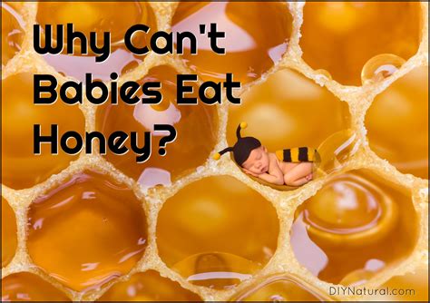 why can't u give infants honey - Kayce Shepherd