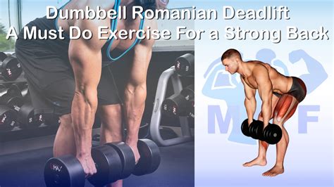 How To Do Dumbbell Romanian Deadlift at Hamish Gunther blog