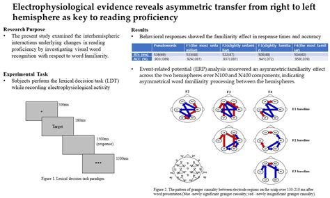 Electrophysiological Evidence Reveals the Asymmetric Transfer from the ...