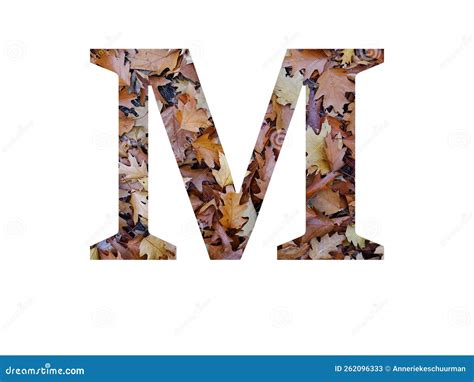 Letra M Do Alfabeto Feito Com Folhas De Carvalho Castanho Do Outono Imagem de Stock - Imagem de ... - Simple Letter Form M Illustration Mountain
