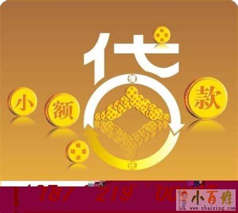银行流水贷款——上海松江漕河泾小额贷款有限公司