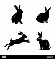 Image result for 2 Rabbits
