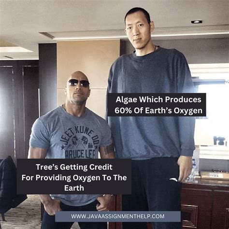 Science Homework Help 的图像结果