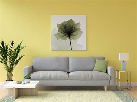 Colors That Compliment Yellow Walls at Fernando Ward blog