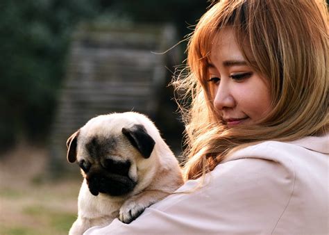 【女人与狗摄影图片】珠海人像摄影_太平洋电脑网摄影部落