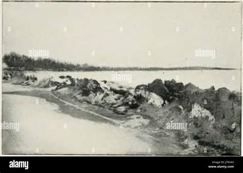 Image result for Princess Bride Swamp Monster