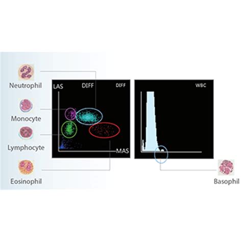 Hematology Analyzers | 5 Part Differential | Automatic BC-5000 ...