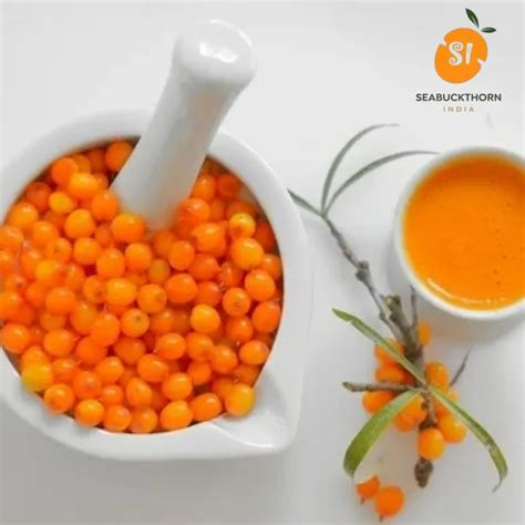 Seabuckthorn Pulp - Seabuckthorn Original Fruit Pulp Trader ...