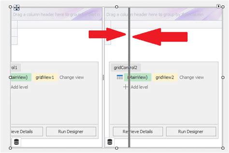 Image result for DevExpress Form Container