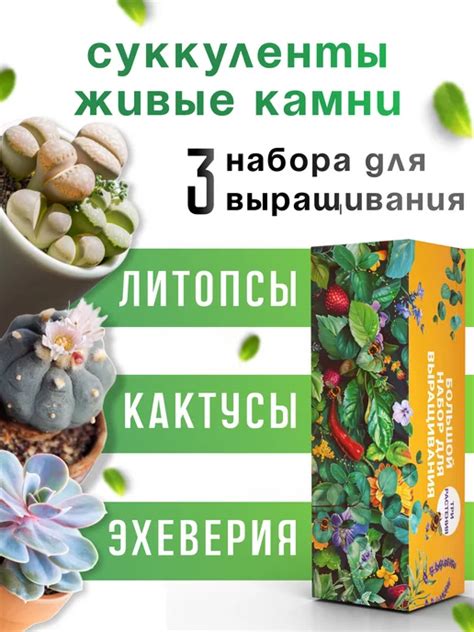 Наборы для выращивания растений: купить в интернет-магазине Wildberries ...
