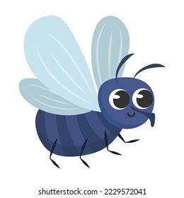 Fly Cartoon 的图像结果