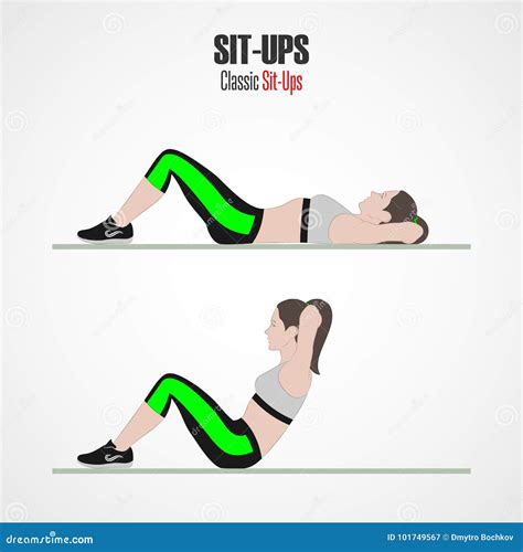 Sport Exercises. Exercises with Free Weight. Sit-ups. Illustration of ...