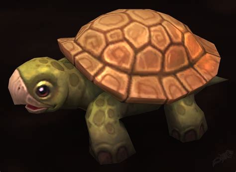 Turtle Wow