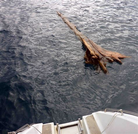 s/v Perry: Bump on a log
