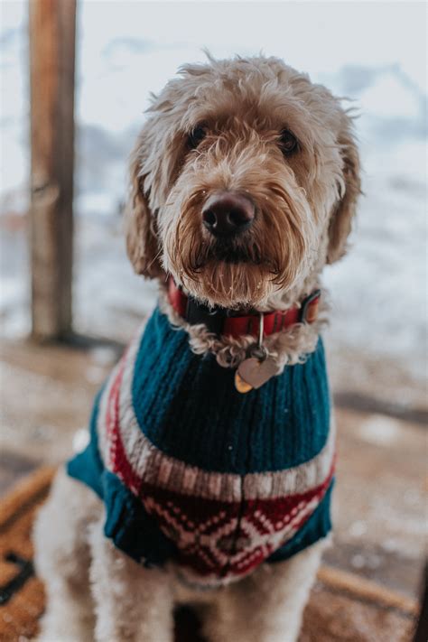 Matching Holiday Sweaters-46 - Wanderlust Out West