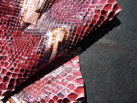 Red skin of python snake. stock photo. Image of style - 206317852