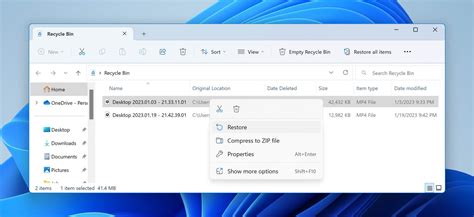 Recover MP4 File 的图像结果