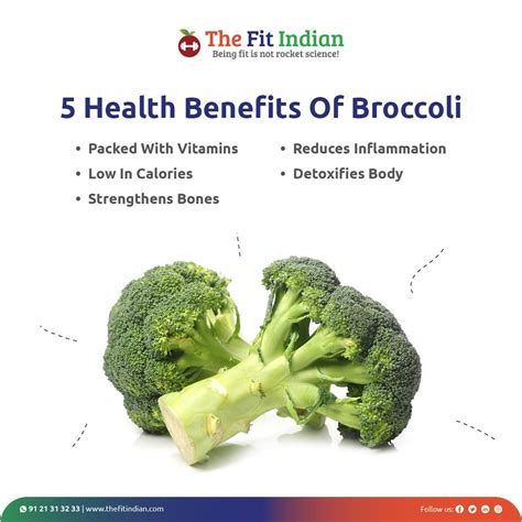 Health Benefits Of Broccoli During Pregnancy at Lori Allan blog