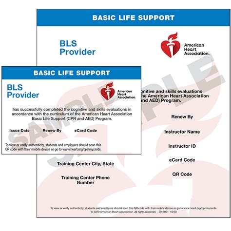 Image result for BLS CPR Course