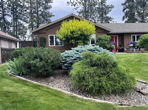 How to grow shrubs – Home for the Harvest