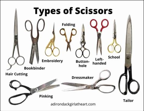 Image result for Scissors Types
