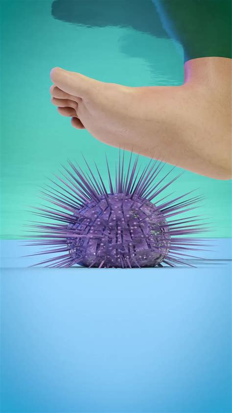 Zack D. Films | The Love Canal Disaster 😨 (explained) | Instagram