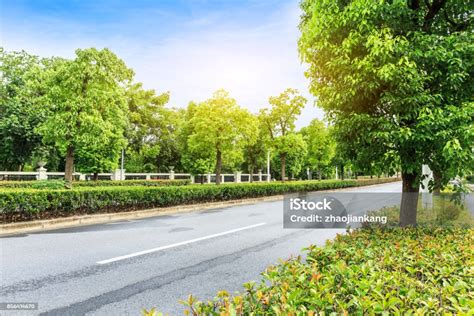 Road 的图像结果