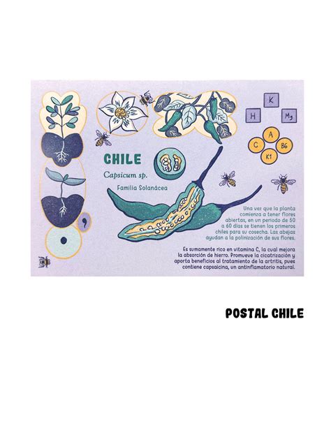 Postal "CHILE" – Libre Liebre