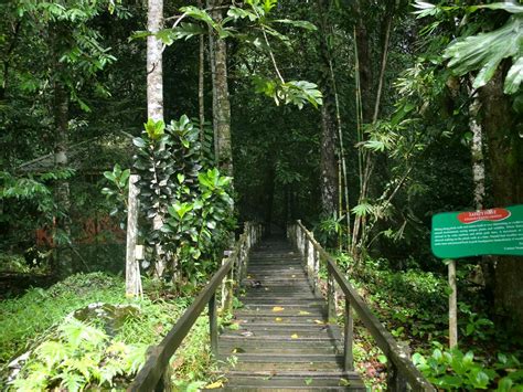 BEST Places to Visit in Lundu - UPDATED 2024 (with Photos & Reviews ...