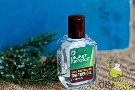 Image result for tea tree oil warts