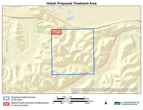 MDA to Fight Gypsy Moth in Two Areas of Southeast Minnesota