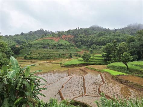 Restoring the hydrological functions of mountain agricultural terraces to address multifaceted ...