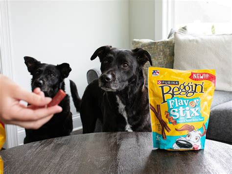 Beggin’ Dog Treats Just $5 Per Bag At Publix (Regular Price $12.99 ...