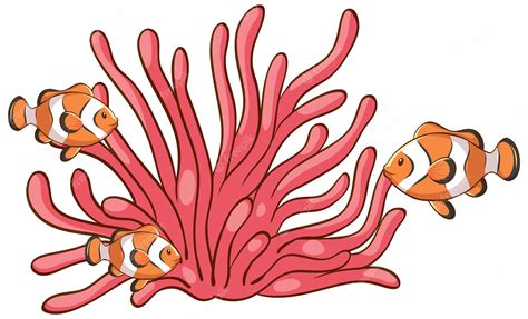 Coral Clip Art