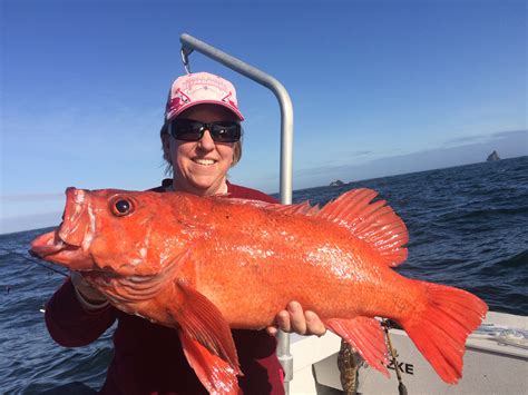 Southern Oregon & Brookings Fishing Report