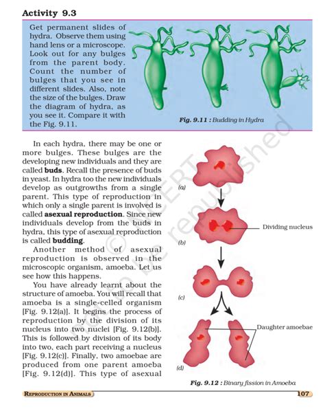 Image result for Class 8 Science Reproduction