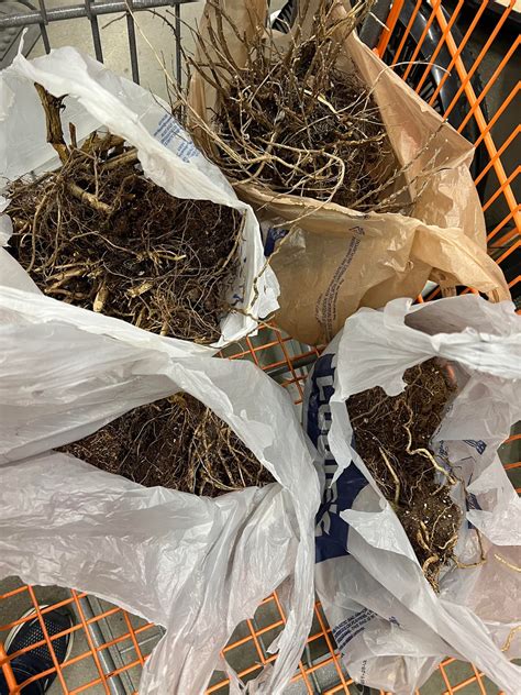 I love refunding your mysterious piles of dirt with sticks in it 🙂 : r ...