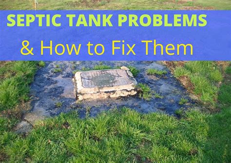 How To Fix A Flooded Septic Tank at Richard Abbate blog