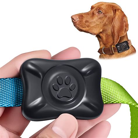 Air Tag Dog Collar Holder at Missy Lynch blog