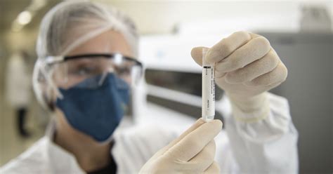 How Is PCR Test Done 的图像结果