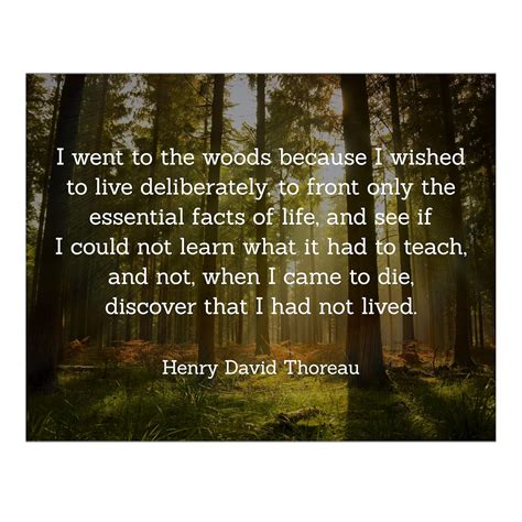 Thoreau Quotes