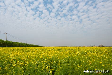 浙大网新参建杭州南站、章丘站正式开通运营