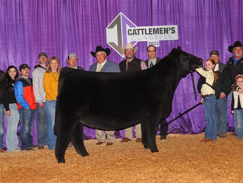 2023 Maine Exchange by American Maine-Anjou Association - Issuu