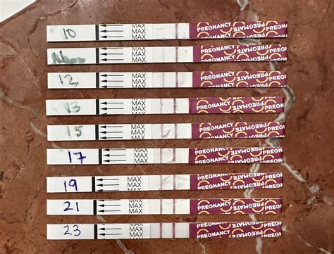 Pregmate line progression- time to stop? 10-23 DPO testing. : r ...