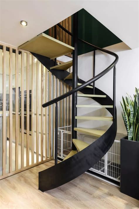 64㎡的Loft公寓改造，旋转楼梯+大厨房，一人一狗的简单品质生活。_Daniel