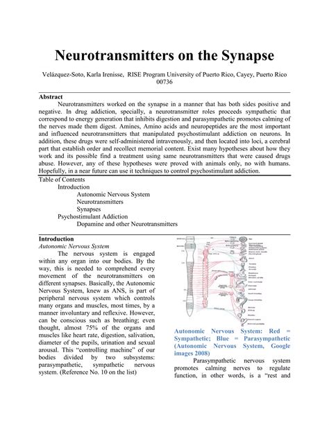 Neurotransmitters | DOCX