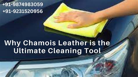 Why Chamois Leather is the Ultimate Cleaning Tool