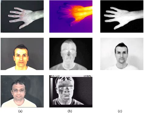 Carl Dataset 的图像结果