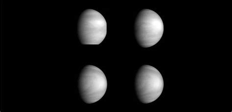 金星 的图像结果