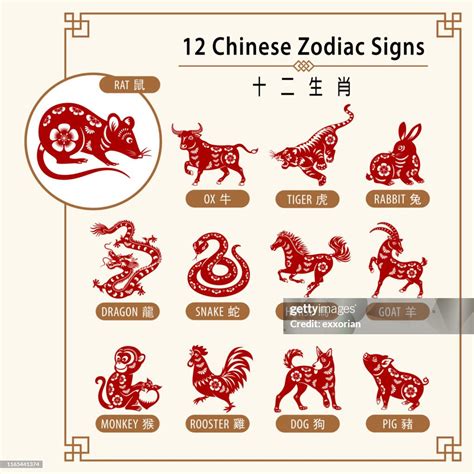 12 Chinese Zodiac Signs High-Res Vector Graphic - Getty Images